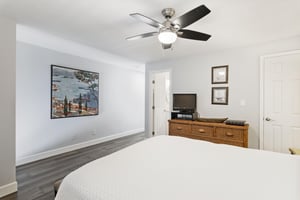 Coral Reef Club 33 16