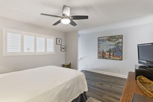 Coral Reef Club 33 18