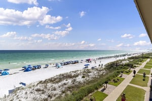 Coral Reef Club 33 22