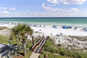Coral Reef Club 33 23