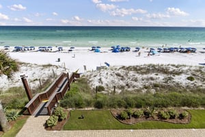 Coral Reef Club 33 24