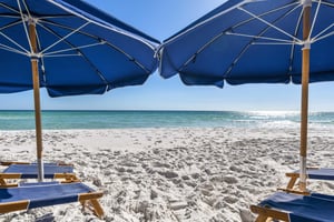 Coral Reef Club 45 35