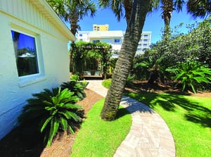 Ariola 103  Mermaid Oasis 55