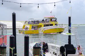 Yellow Bird 51