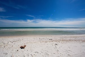 Holiday Surf and Racquet Unit 505 29