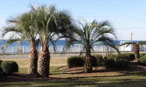 Gulf Winds East 3 10