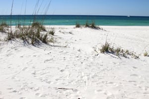 Gulf Winds 404 25