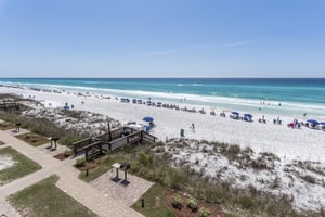 Coral Reef Club 43 23