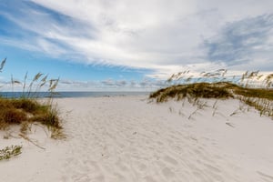 Twin Palms 32