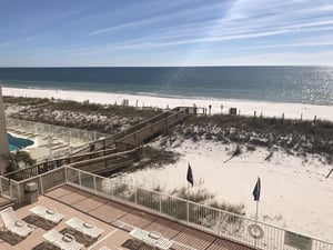 Tropical Winds 202 18