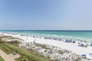 Coral Reef Club 38 23