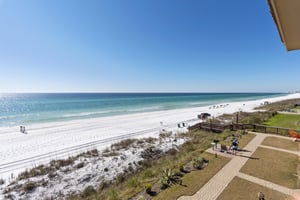 Coral Reef Club 44 22