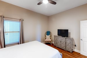 Palacio 0101 20
