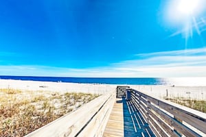 Rest Ashore 37