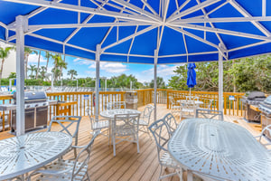 Gull Wing Paradise 31