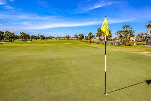 Paradise Green 11