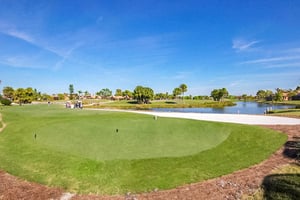 Paradise Green 19