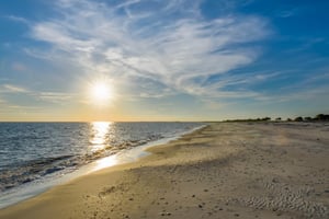 Salty Breezes 34
