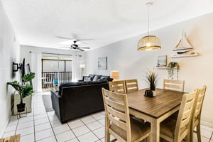 Blue Palm 4