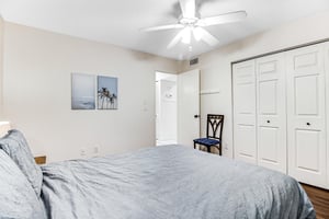 Blue Palm 10