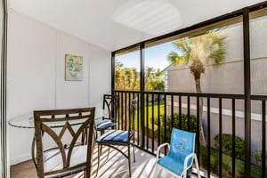 Blue Palm 13