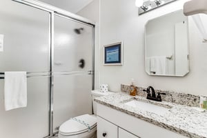 Blue Palm 15