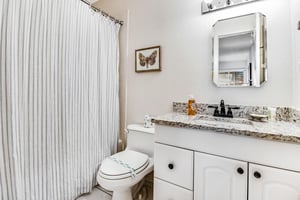 Blue Palm 20