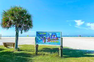 Blue Palm 23