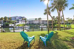 Blue Palm 27