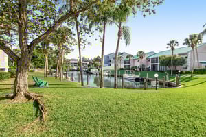 Blue Palm 28