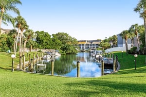 Blue Palm 29