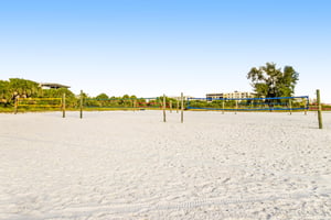 Blue Palm 35