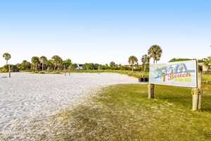 Blue Palm 37