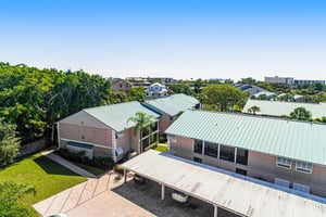 Blue Palm 39