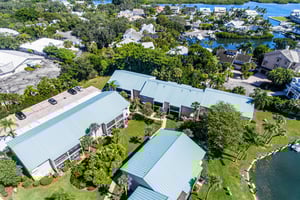 Blue Palm 40