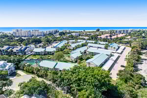 Blue Palm 42