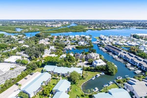 Blue Palm 43