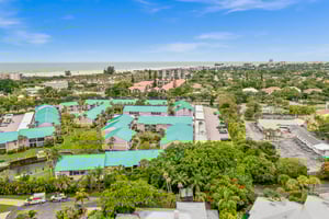 Blue Palm 49