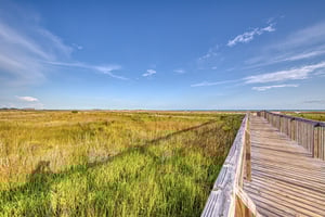 Holiday Isle 707 38
