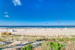 Dolphin Vista 4
