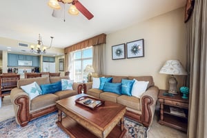 Dolphin Vista 6