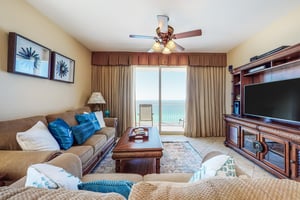 Dolphin Vista 8