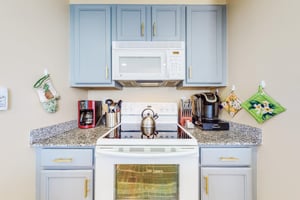 Dolphin Vista 17