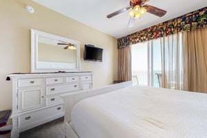 Dolphin Vista 19