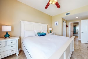 Dolphin Vista 21