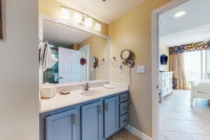 Dolphin Vista 22