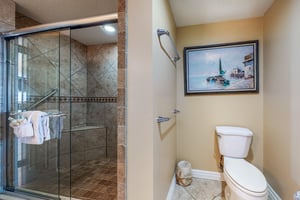 Dolphin Vista 23