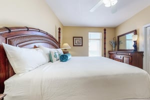 Dolphin Vista 26