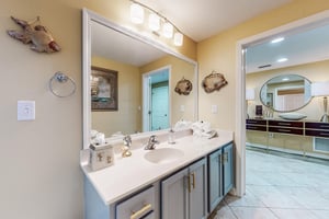Dolphin Vista 27