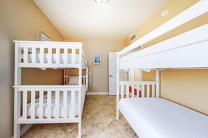 Dolphin Vista 31